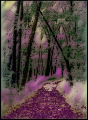 Purple Path