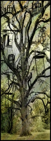 Tree House